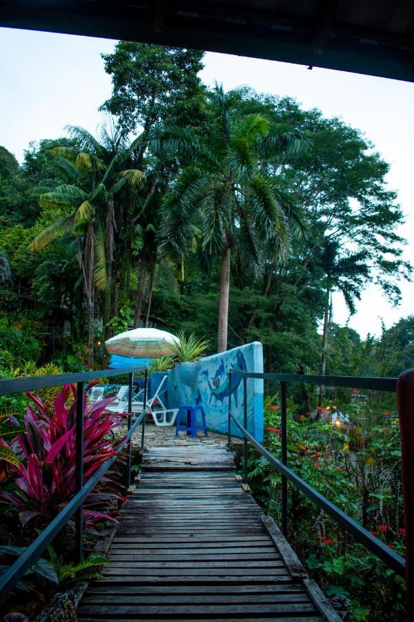 Hostel Plinio Manuel Antonio Eksteriør bilde