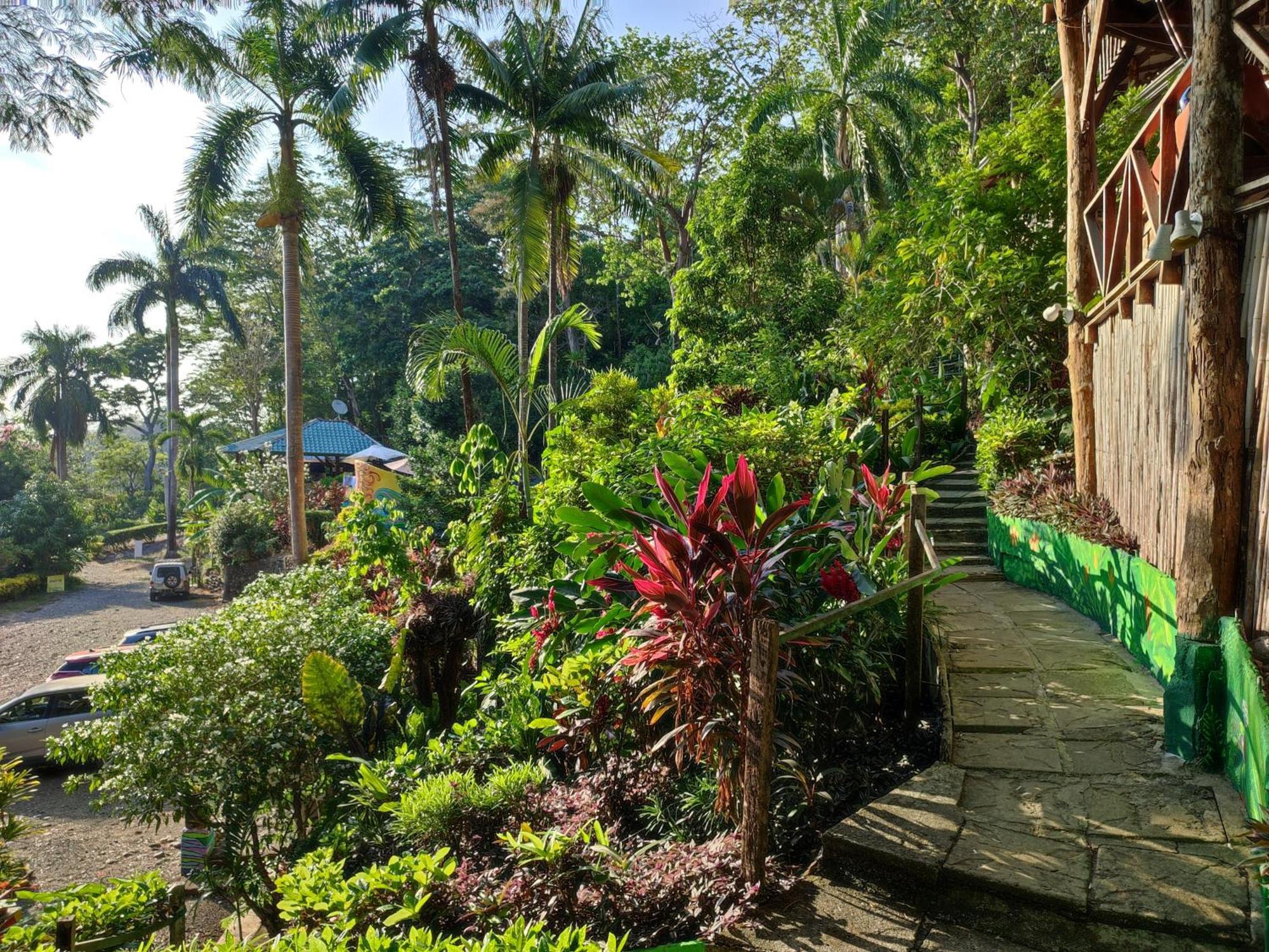 Hostel Plinio Manuel Antonio Eksteriør bilde