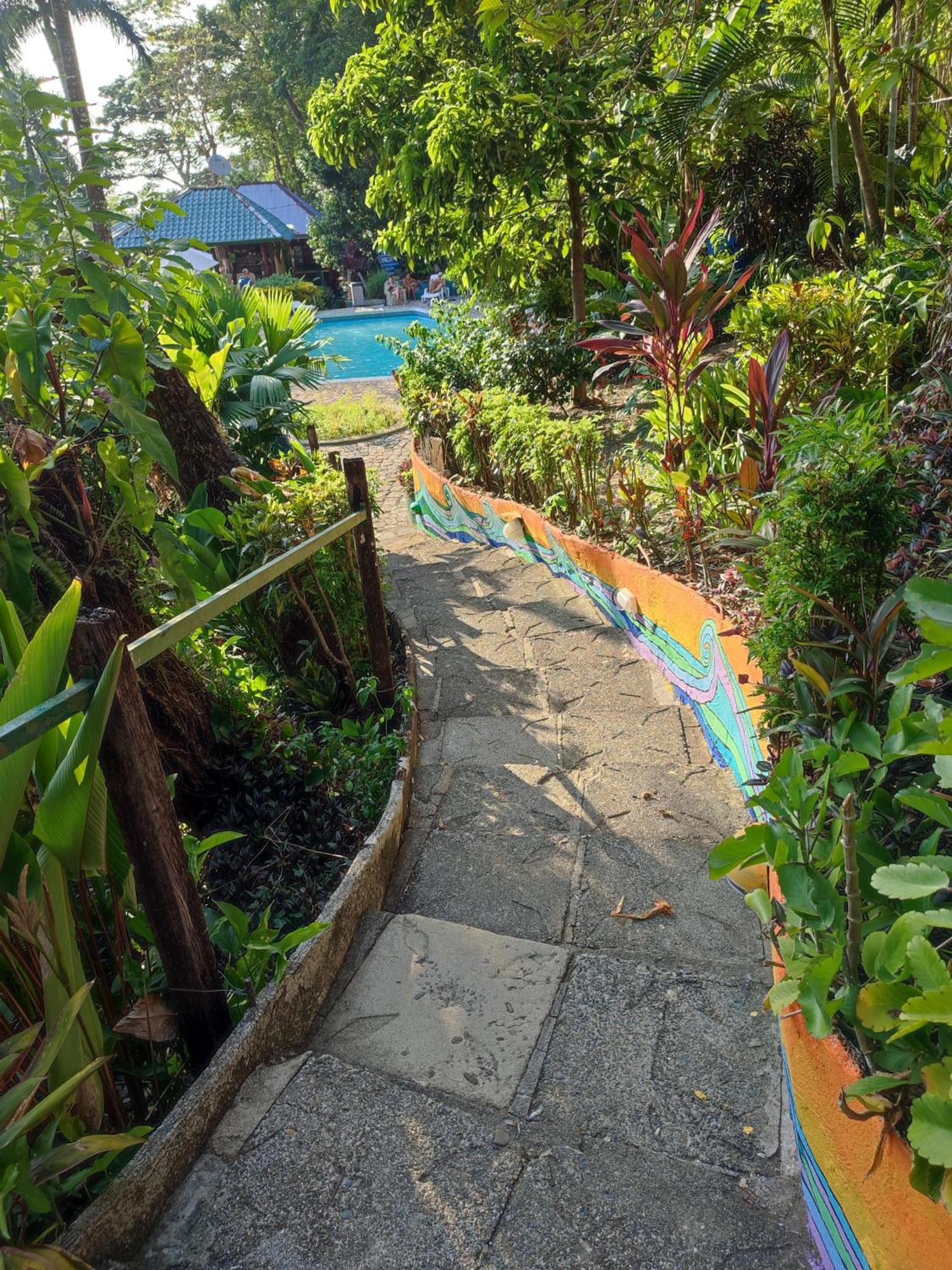 Hostel Plinio Manuel Antonio Eksteriør bilde