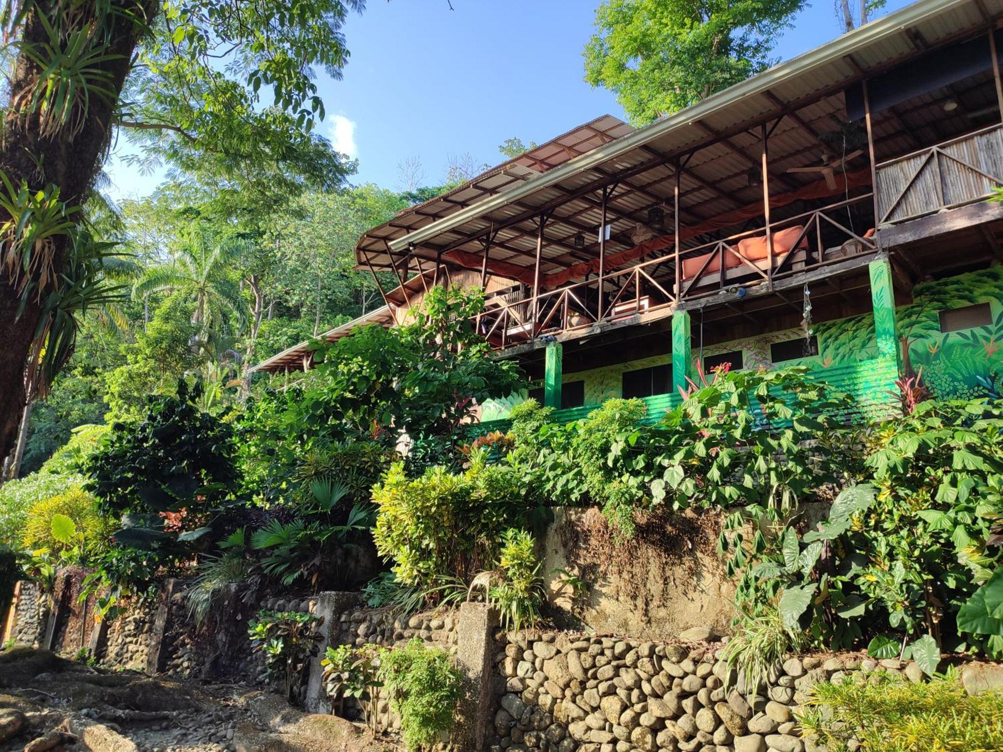 Hostel Plinio Manuel Antonio Eksteriør bilde