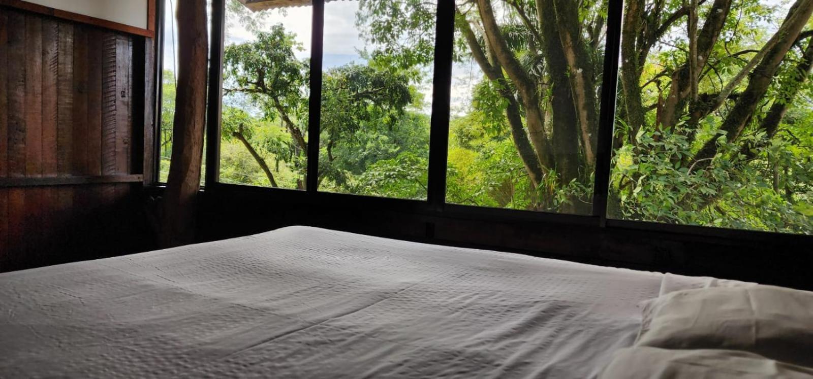 Hostel Plinio Manuel Antonio Eksteriør bilde