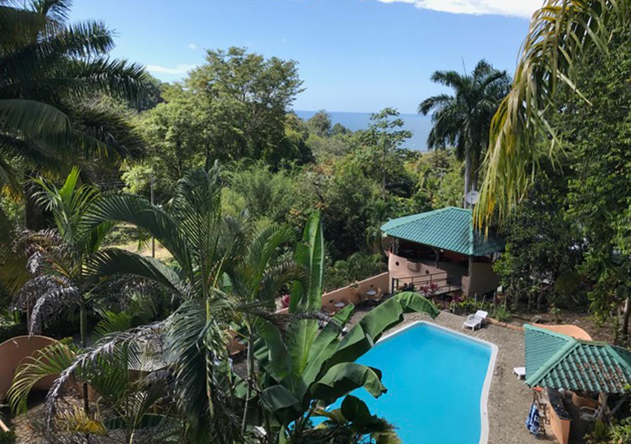 Hostel Plinio Manuel Antonio Eksteriør bilde